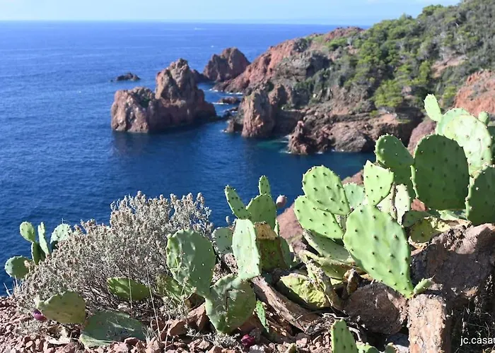 La Casita Du Dramont 83530 Ferienhaus